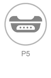 P5 Icon