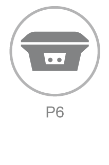 P6 Icon