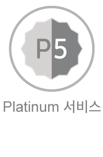 P5 Icon